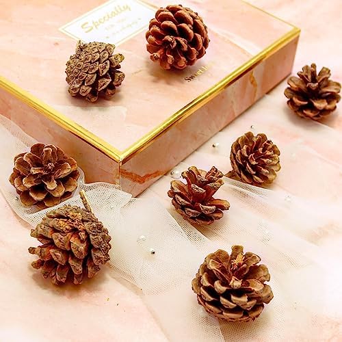 166Pcs Fall Thanksgiving Decor Set