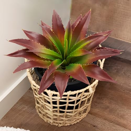 Agusbagli Artificial Succulent Plants with Real Touch