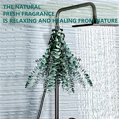 30PCS Dried Preserved Eucalyptus Plants for Decor
