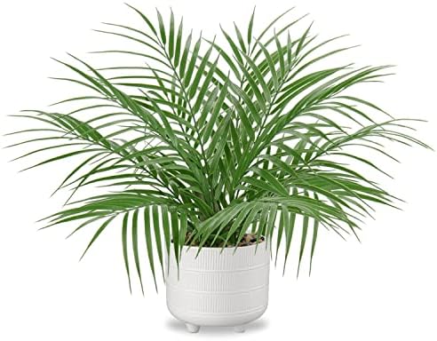 Hollyone Artificial Palm Plant in White Ceramic Pot