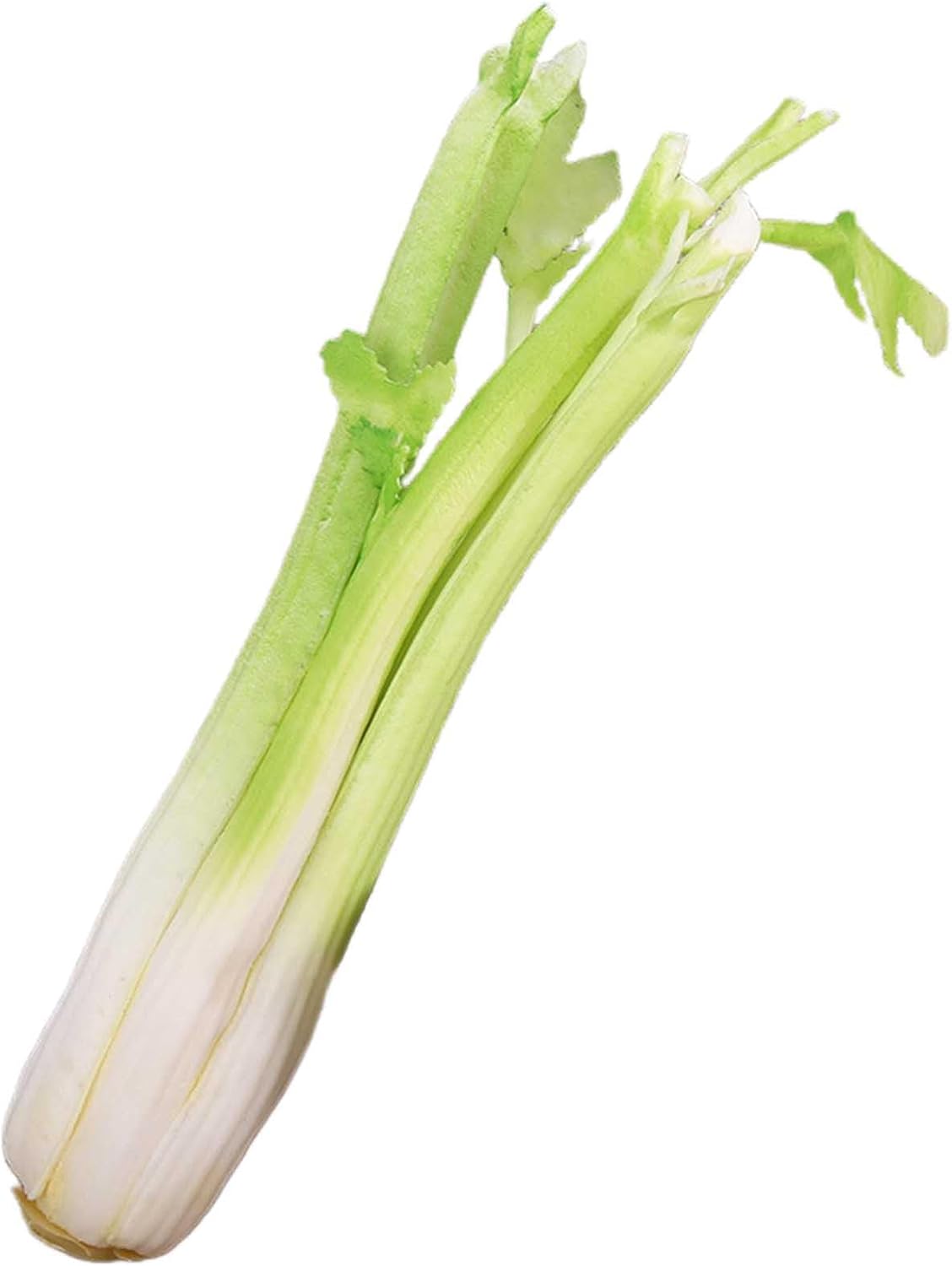 Realistic Artificial Celery PU Vegetable for Photography Props