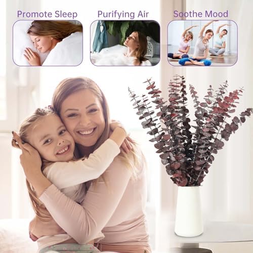 16 Pcs Preserved Eucalyptus Stems for Home Spa Decor