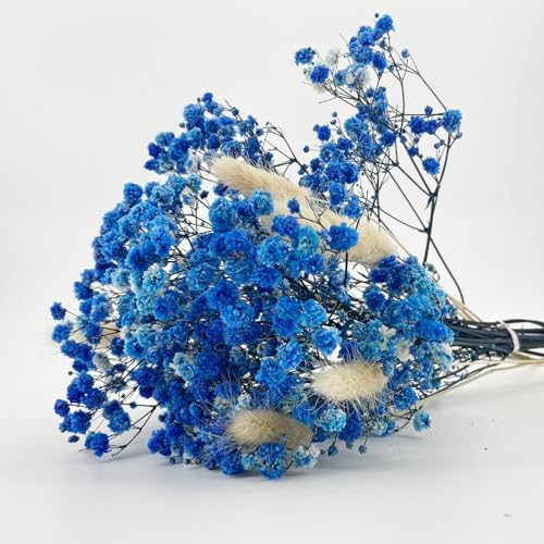 LBREVOGA Dried Flower Bouquet Blue Gypsophila
