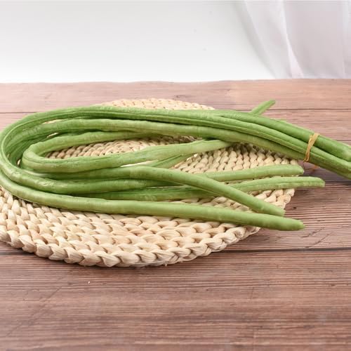 HUIANER Artificial Green Long Beans 6pcs Decor Display Props