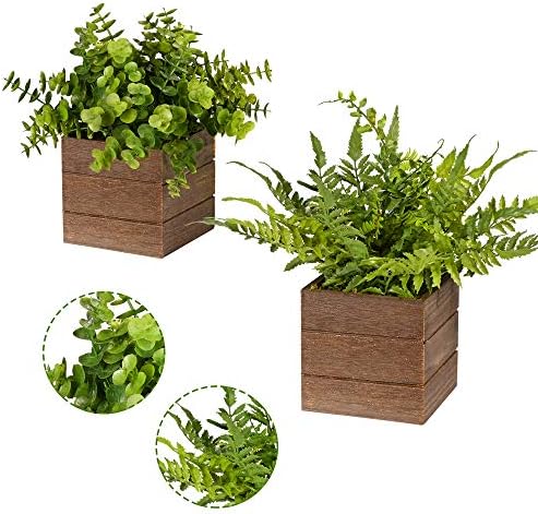 Vlorart 2Pack Mini Artificial Boxwood Fern Plants