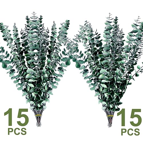 30PCS Dried Preserved Eucalyptus Plants for Decor