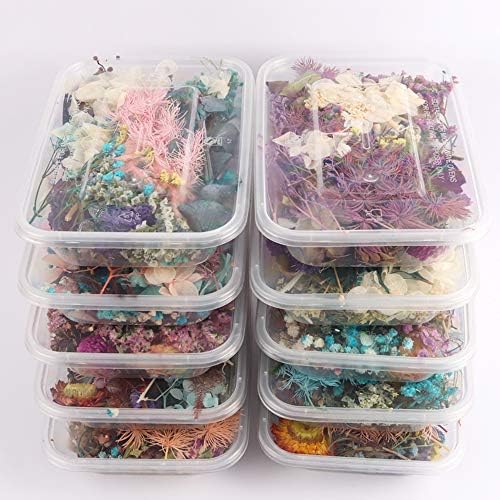 Sorrento Crafts Dried Flowers for DIY Decor Projects