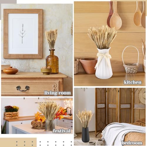 Geosar 600 Stems Dried Wheat Stalks Decor Bundle