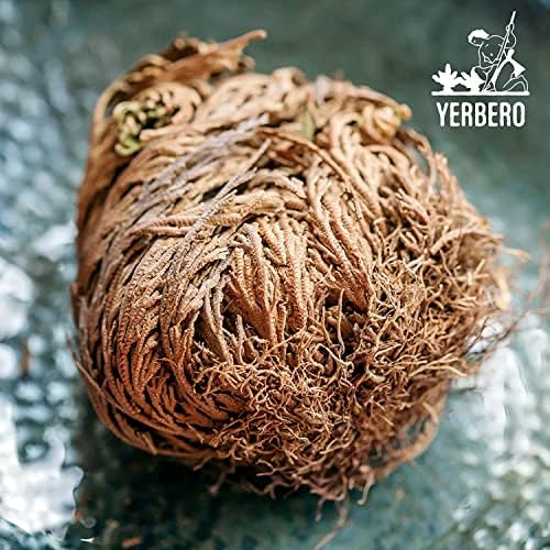 Yerbero 2 Pack Big Rose Jericho Dried Flowers