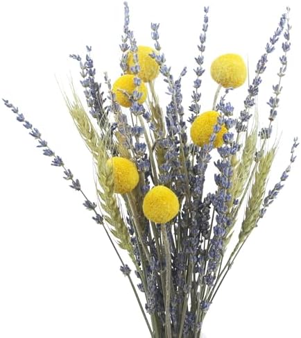 CISDUEO Natural Dried Flower Bouquet with Wheat Stalks and Lavender