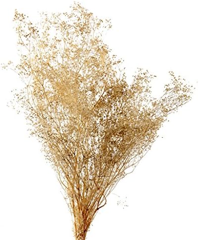 3 Bundles Dried Babys Breath Flowers