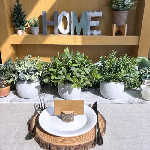 Winlyn Set of 3 Artificial Potted Plants