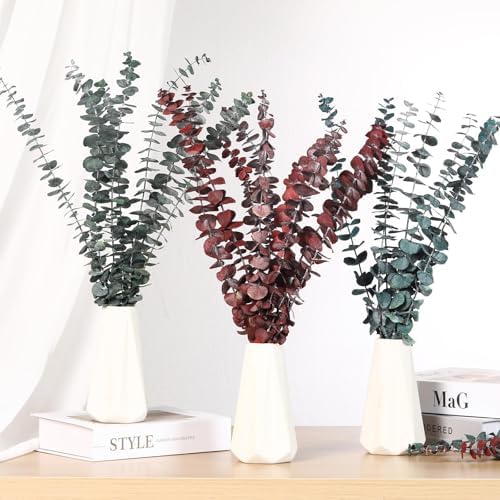20 Pcs Dried Eucalyptus Stems for Spa Bathroom Decor