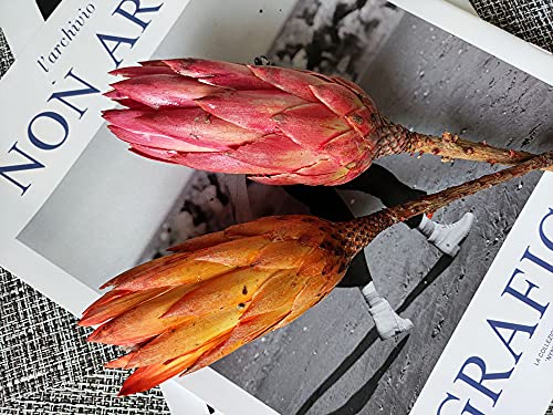 4PCS Dried Protea Flowers Natural Decor Vase Arrangement