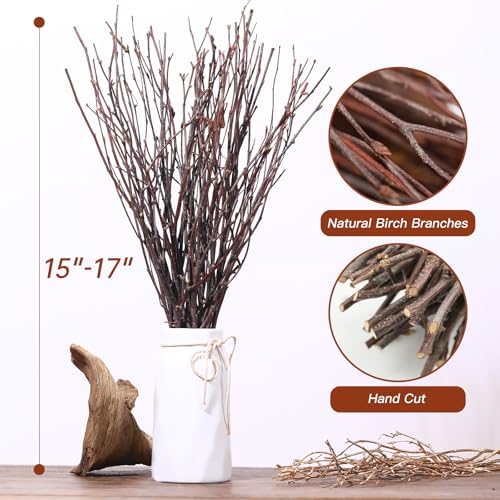 20Pcs Real Dried Birch Twigs - 17 Inch Natural Decorative Branches for Vase and DIY Crafts