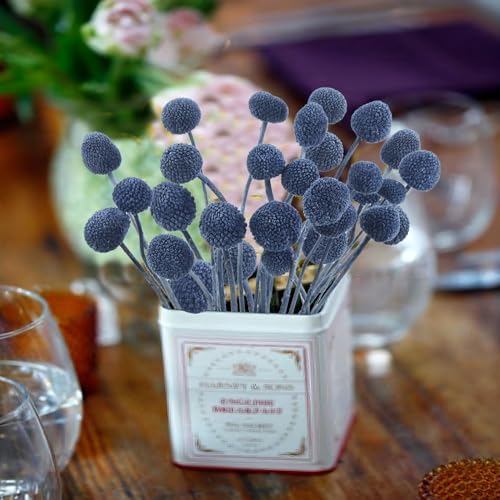 CISDUEO 20 Pcs Dried Billy Balls Blue Flowers Bouquet Decor