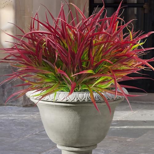 Uieke 6 Bundle Artificial Deep Red Plants