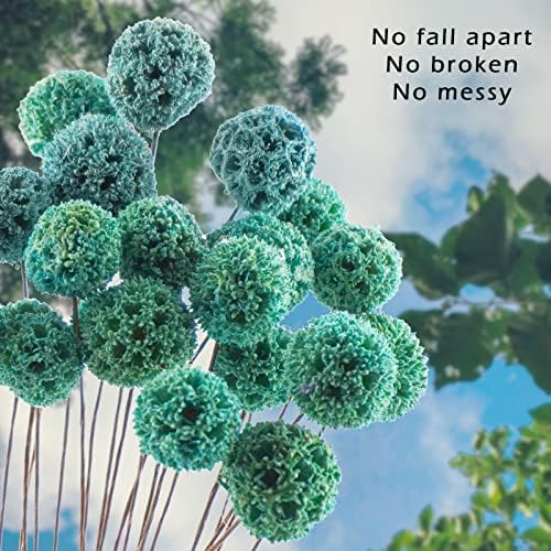 24 PCS Dried Billy Balls Flowers Bouquet Blue