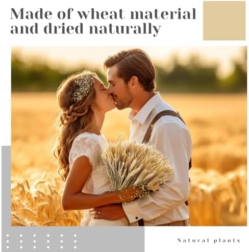 Geosar 600 Stems Dried Wheat Stalks Decor Bundle