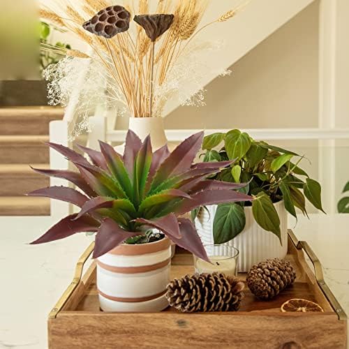 Agusbagli Artificial Succulent Plants with Real Touch