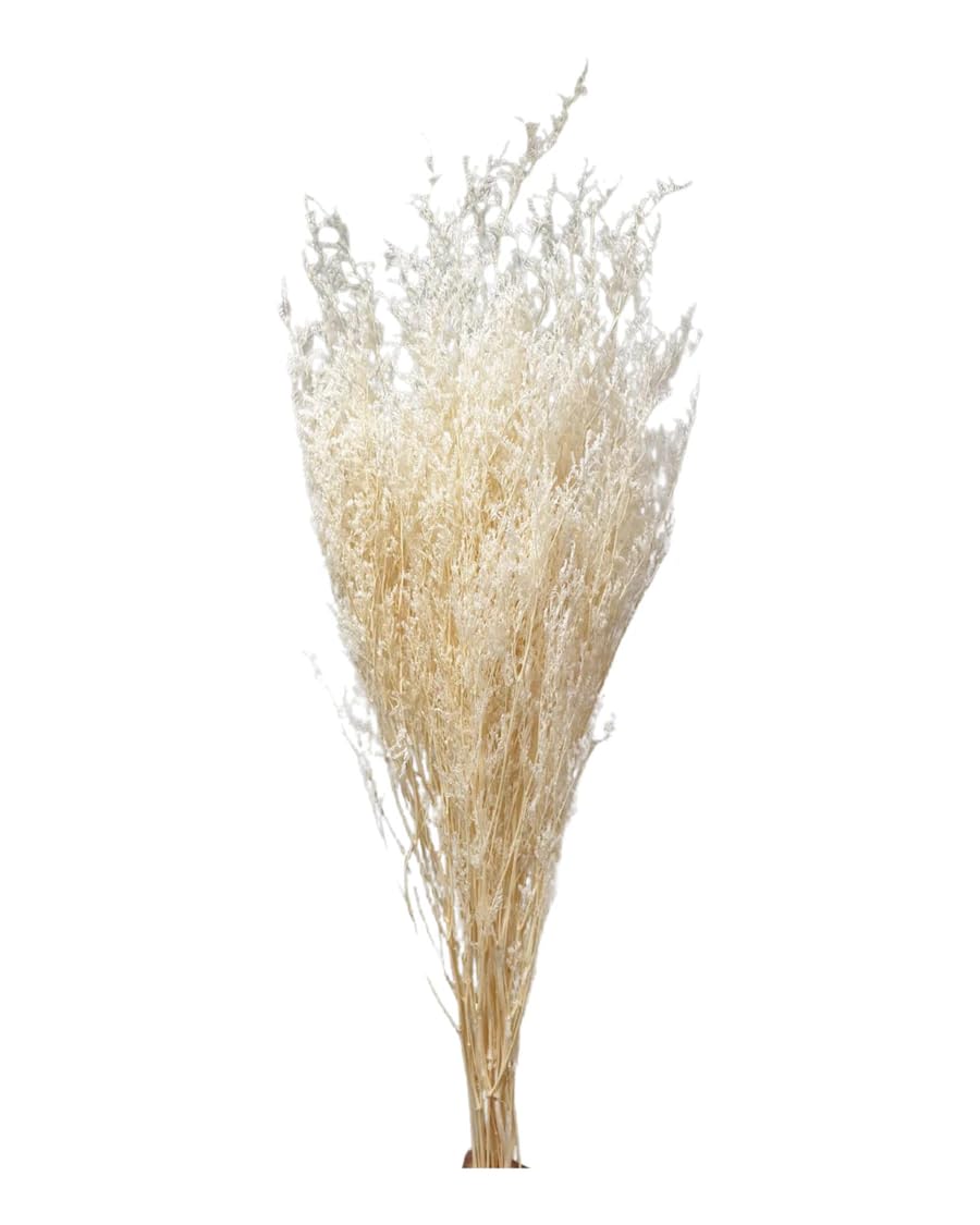 Bleached Preserved Limonium Artificial Flowers
