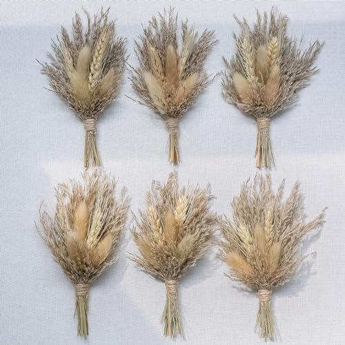 Mini Dried Flower Bouquet Pack of 6 Brown Pampas