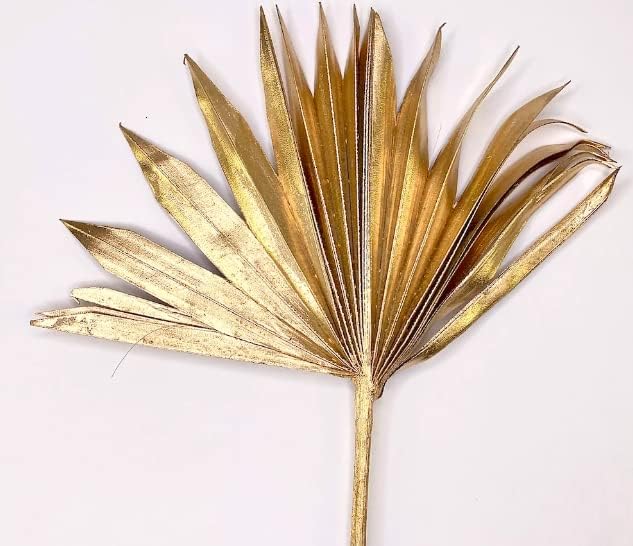 ROYAL SAPPHIRE Golden Dried Palm Leaves 5 Pieces Wedding Decor
