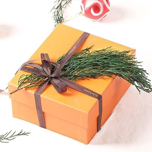 Preserved Real Pine Leaves Branches 17 for Christmas Decor