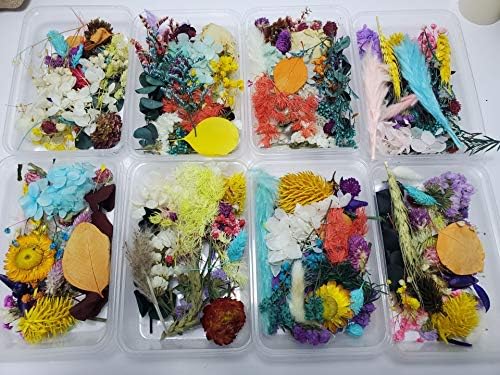 Sorrento Crafts Dried Flowers for DIY Decor Projects