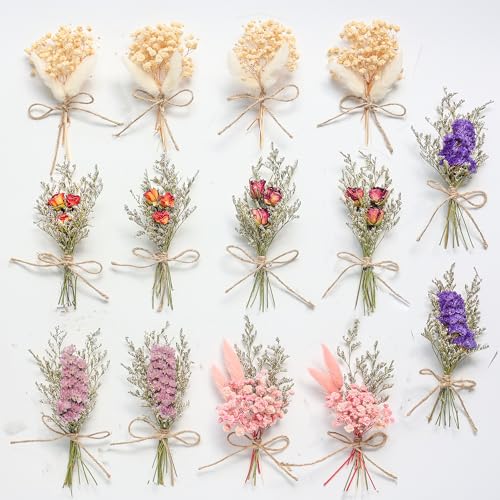 14pcs Dried Forget-me-not Bouquet With Stems