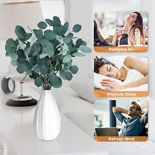 Saipro Dried Eucalyptus Stems for Wreath and Home Decor