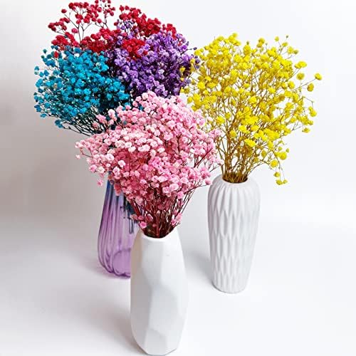 Preserved Babys Breath Flower Bunches Light Blue 3-Pack 12 Inches Tall