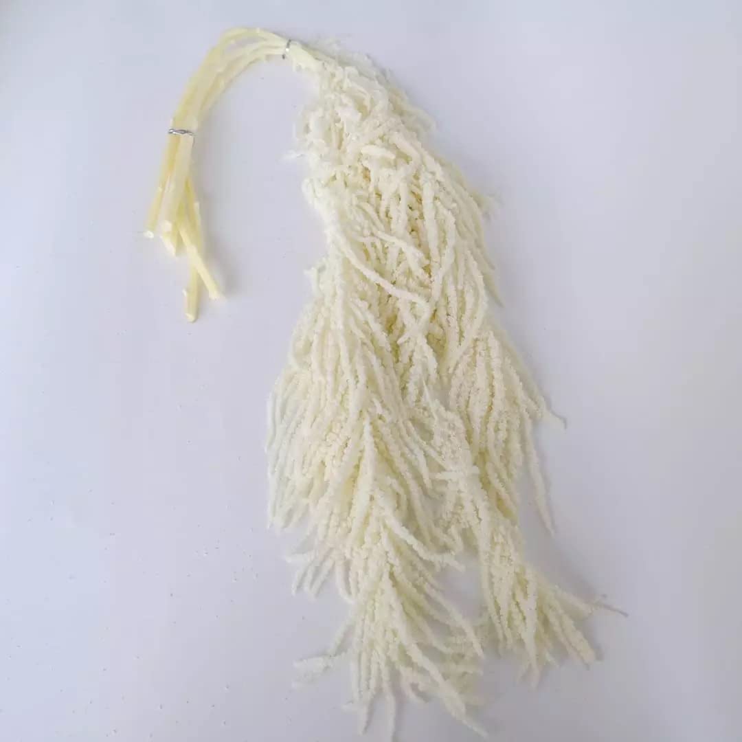 Bleached Hanging Amaranthus 5 Stems Natural Dried Flowers