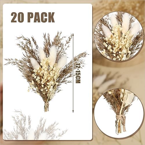 Fabbay 20 Pcs Boho Dried Flower Boutonniere for Men Wedding Accessories