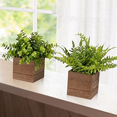 Vlorart 2Pack Mini Artificial Boxwood Fern Plants