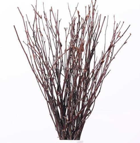 20Pcs Real Dried Birch Twigs - 17 Inch Natural Decorative Branches for Vase and DIY Crafts