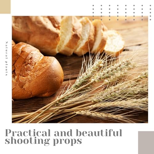 Geosar 600 Stems Dried Wheat Stalks Decor Bundle
