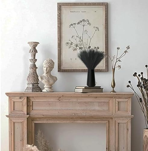 Mandys Black Silk Pampas Grass Bouquet 20 Stems