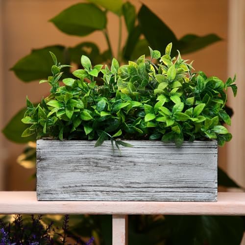 Lyrow 2 Pack Artificial Eucalyptus Plants in Wooden Pots