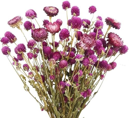 Dried Flowers Bouquet Purple Daisy Amaranth Chrysanthemums Wedding Centerpiece Decor