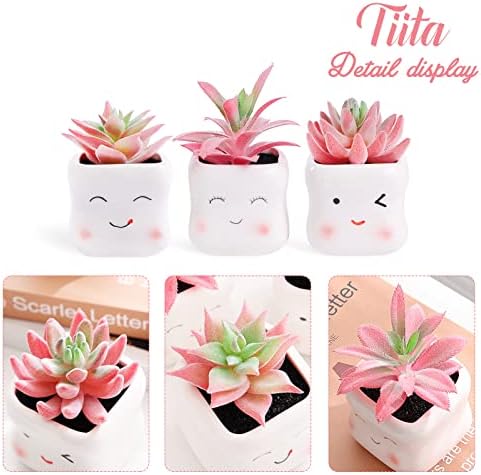 Tiita Cute Artificial Succulents in Ceramic Pots
