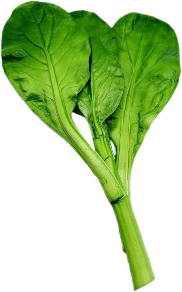 LOGOFUN Artificial Vegetable Display Prop Green