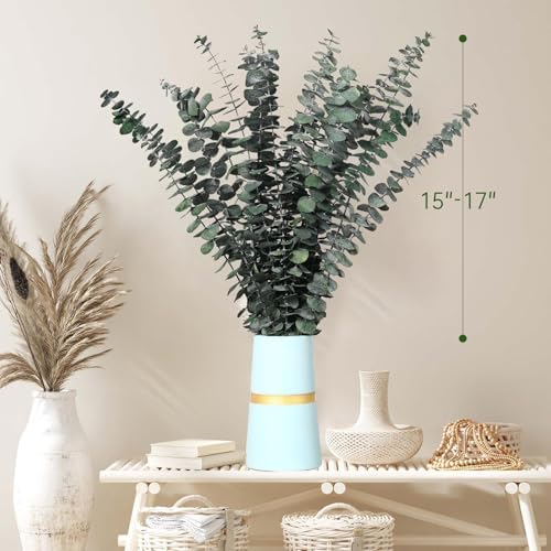 20 Pcs Dried Eucalyptus Stems for Spa Bathroom Decor