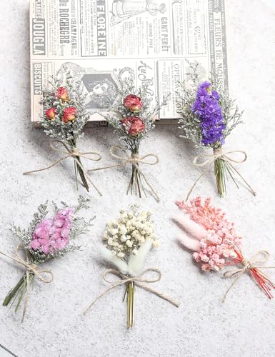 14pcs Dried Forget-me-not Bouquet With Stems