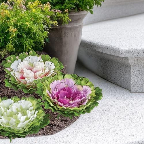 Collections Etc Artificial Cabbage Roses Set of 6