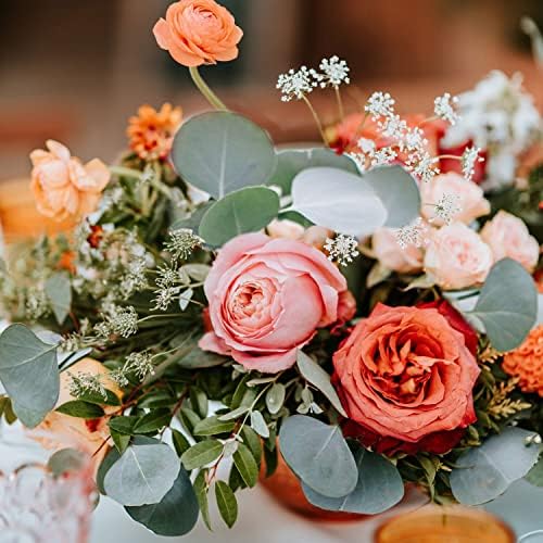 Saipro Dried Eucalyptus Stems for Wreath and Home Decor
