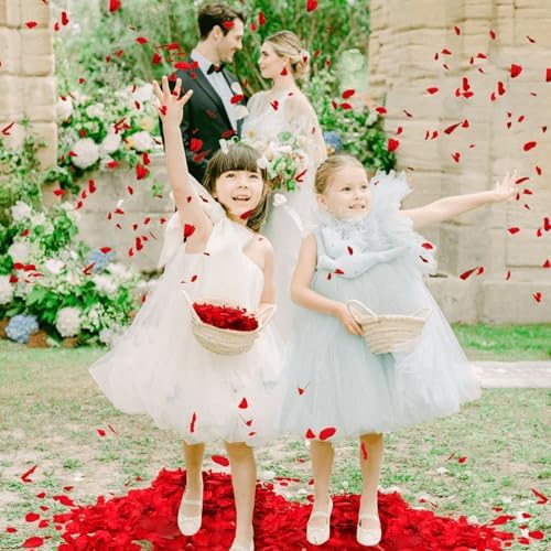 1500Pcs Real Dried Red Hydrangea Petals Natural
