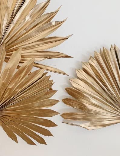 ROYAL SAPPHIRE Golden Dried Palm Leaves 5 Pieces Wedding Decor