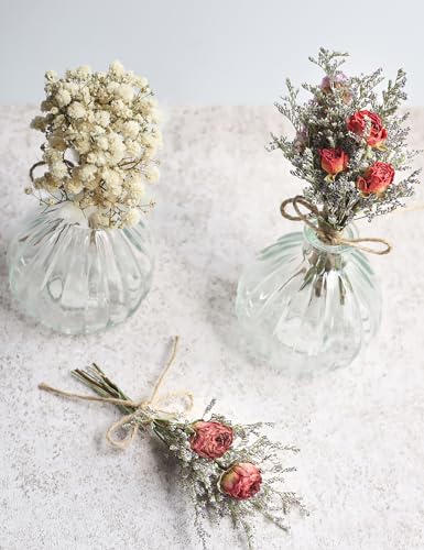 14pcs Dried Forget-me-not Bouquet With Stems