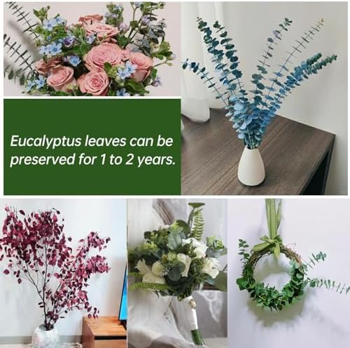 20 Pcs Dried Eucalyptus Stems for Spa Bathroom Decor